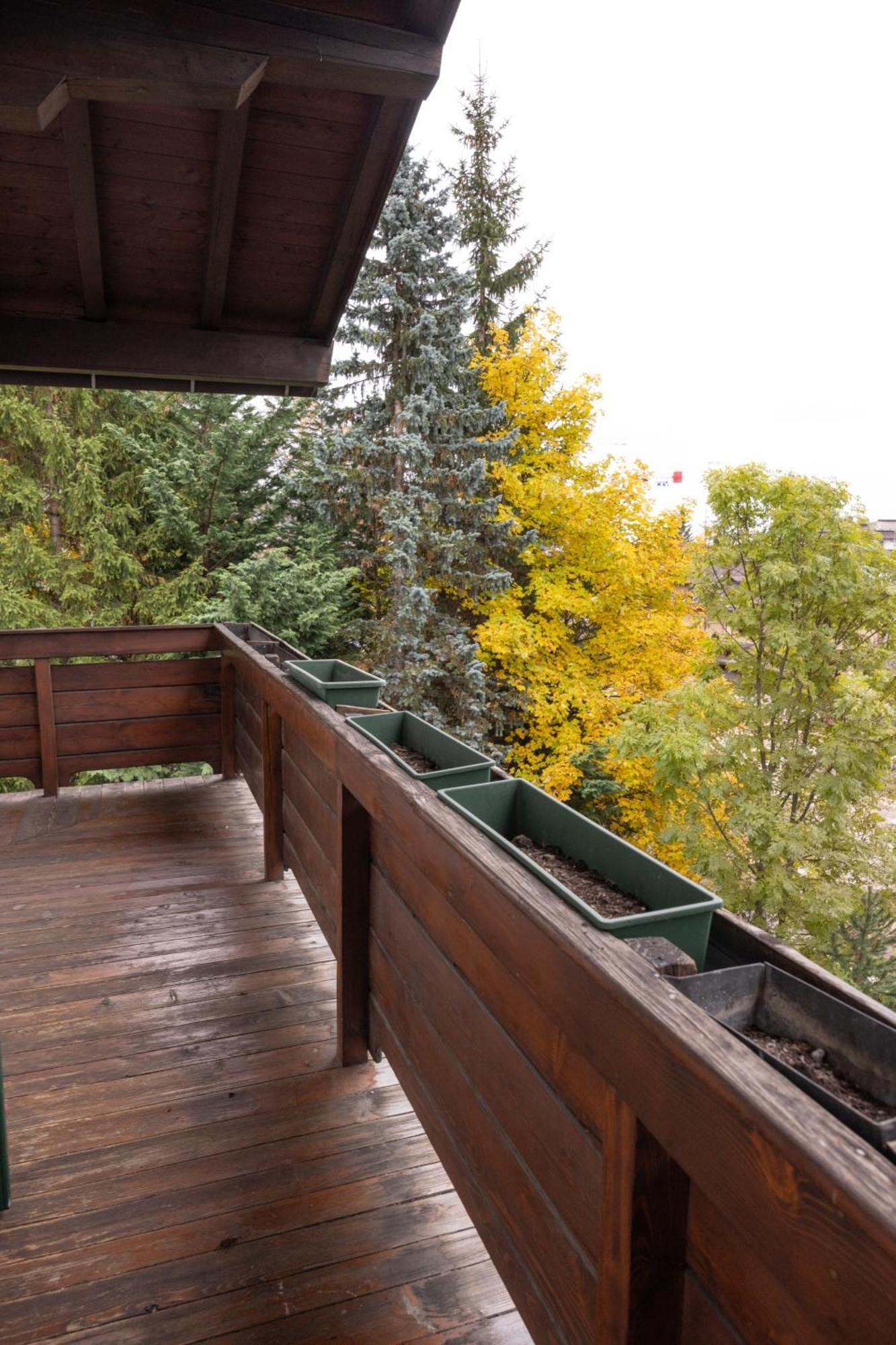 Casa Ca Dei Fiori A Due Passi Dal Centro Di Cortina Lägenhet Cortina dʼAmpezzo Exteriör bild